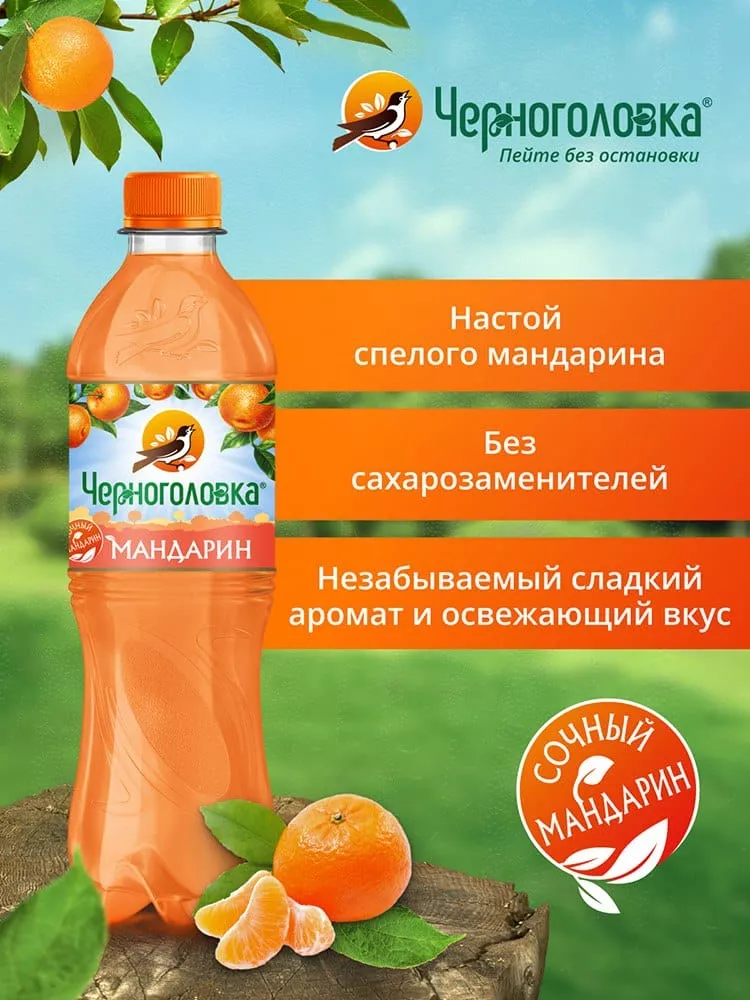 Черноголовка Лимонад Мандарин 0,5 л. ПЭТ (12 бут.) - дополнительное фото